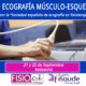 curso ecografia musculoesqueletica valladolid x