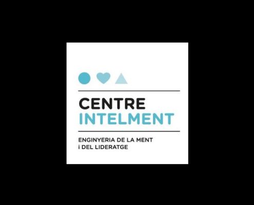 Centre Intelment