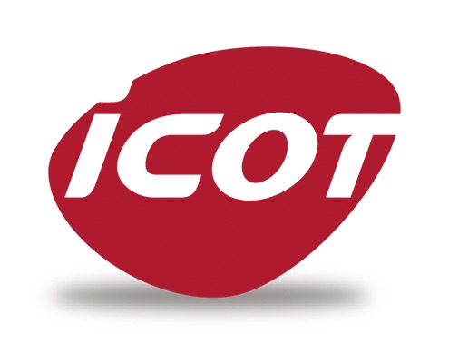 Grupo ICOT